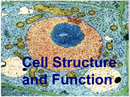 Unit 3 - Cell Structure and Function