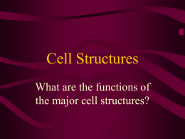 Cell Structures - Central Magnet School