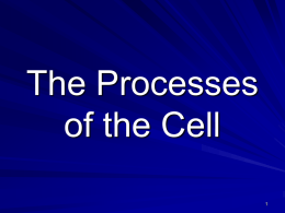 The Processes of the Cell - Mr. Obiechefu`s Life Science