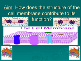 Cell Membrane - Hicksville Public Schools / Homepage