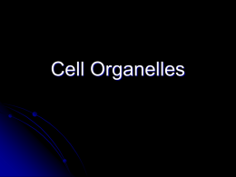 and membrane bound organelles