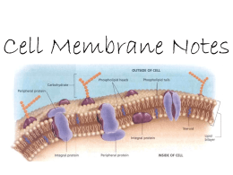 1c - Cell Membrane Notes
