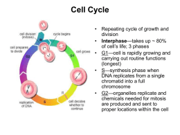 Cell Cycle ppt