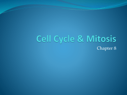 Cell Cycle & Mitosis PPT