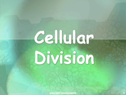 6. Cell Division ppt