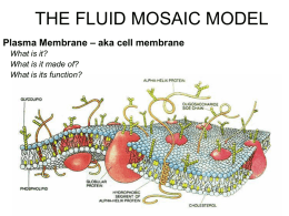 Fluid_Mosaic_Model
