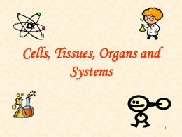 Lecture Notes on Cells