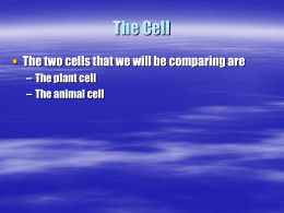 The Cell - Harris7Science