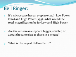 Cell Structure and Funtion Powerpoint