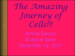 The Cell Reproduction Adventure!!!