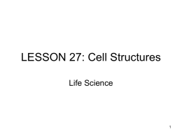 Cell Structures ()