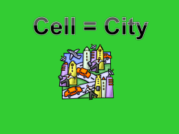 Cell City Analogy