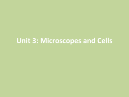 Unit 3: Microscopes and Cells