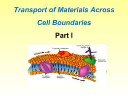 Cell Transport 2014