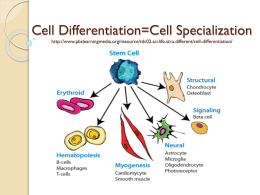 15-16 Pre AP Cell Differentiaiton notes