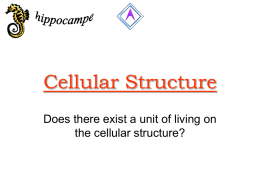 Structure cellulaire