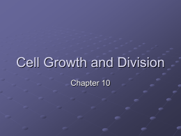 cell growth and divisionx