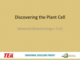 Identifying Plant cELLS - Educational Excellence