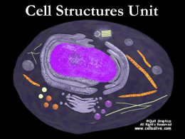 Cells - Lehi FFA