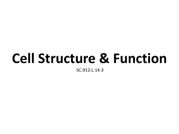 14.3 Cell Structure and Function