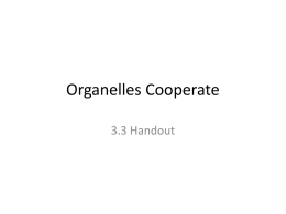 2.5 Organelles Cooperatex