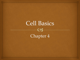 Cell Basics