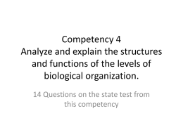 Competency 4 Analyze and explain the structures and