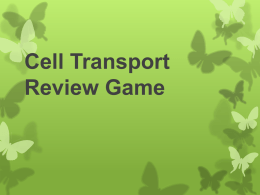 Cell Transport Flyswatter Game