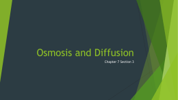 Osmosis and Diffusion