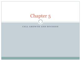 Chapter 5 - whsbaumanbiology