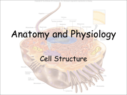Anatomy and Physiology - Effingham County Schools