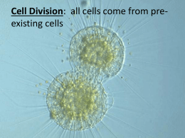Cell Division: all cells come from pre-existing cells