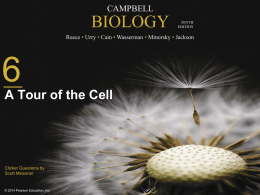 A Tour of the Cell - jj-sct