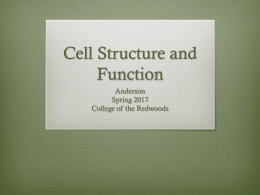 Cell Structure and Functionx