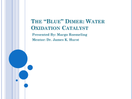The *Blue* Dimer: Water Oxidation Catalyst