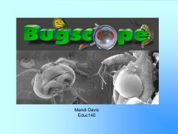 Bugscope - WordPress.com