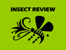 Insect Unit Review