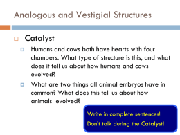 6.9 Analogous and Vestigial Structures