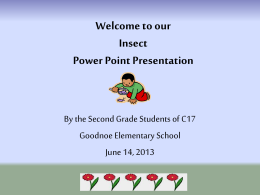 Insect Research Power Point