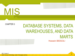 Chapter 3 Database Systems, Data Warehouses, and Data