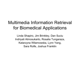 Multimedia Information Retrieval for Biomedical Applications