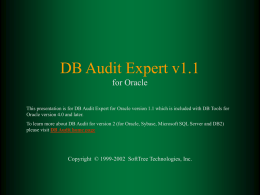 DB Audit Expert