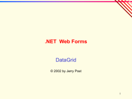 Data Grid - Professor Jerry Post