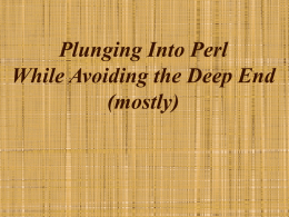 Plunging Into Perl