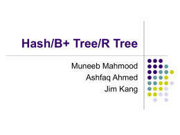 Hash/B+ Tree/R Tree