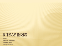 Bitmap Index