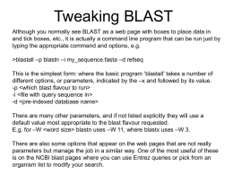 4.blast-parameters