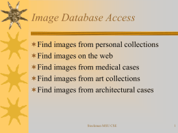 Image Database Access
