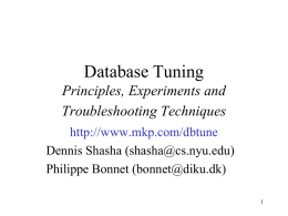 Database Tuning Principles, Experiments and Troubleshooting