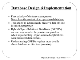 Hybrid Object-Relational DataBases